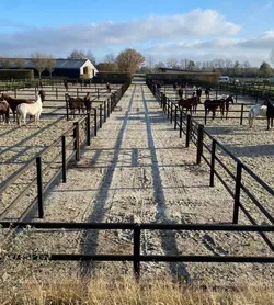 Paddocks1